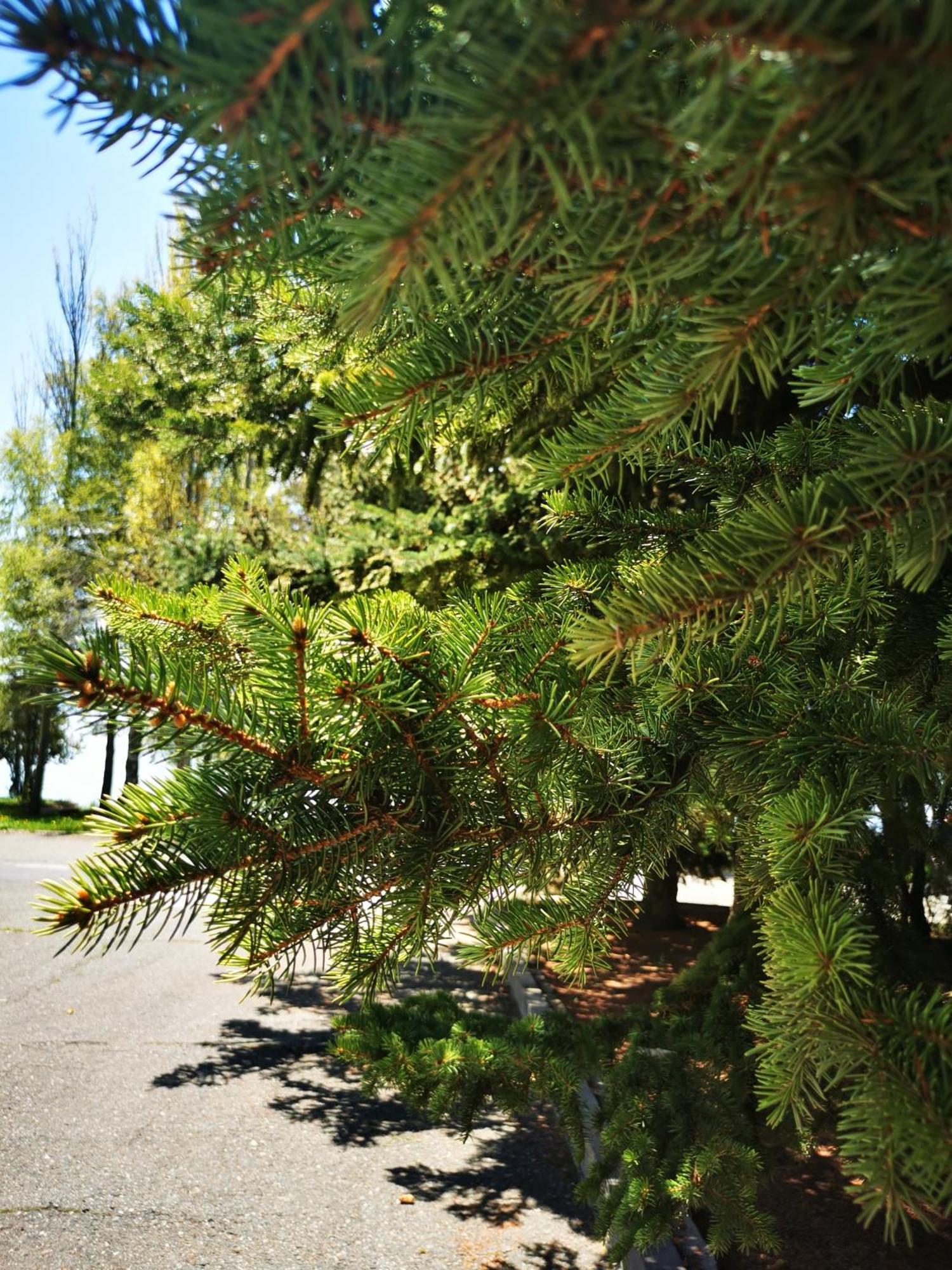Blue Sevan Hotel 외부 사진